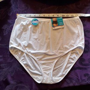 Women's Vanity Fair brief panties sz 10 NWT
